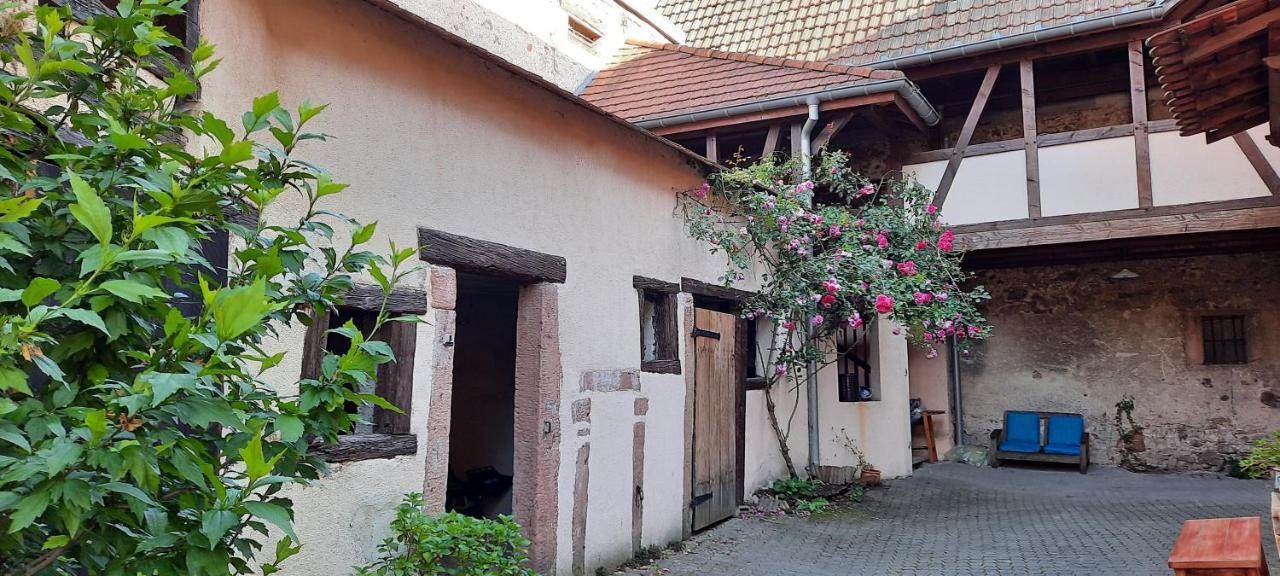 La Charpenterie Apartment Bergheim Ngoại thất bức ảnh